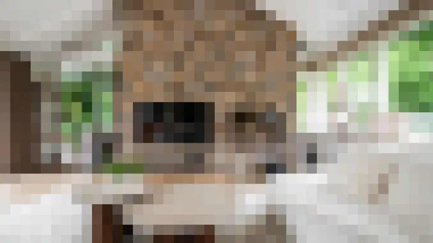De Jager 25 Almelo thumbnail 10