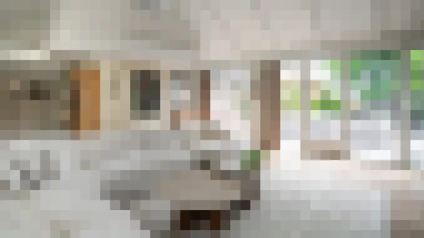 De Jager 25 Almelo thumbnail 11