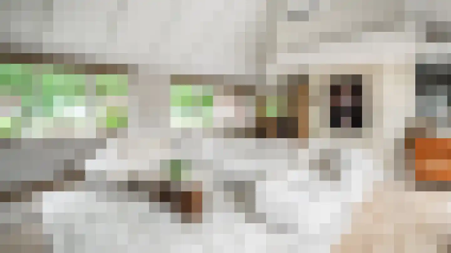 De Jager 25 Almelo thumbnail 13