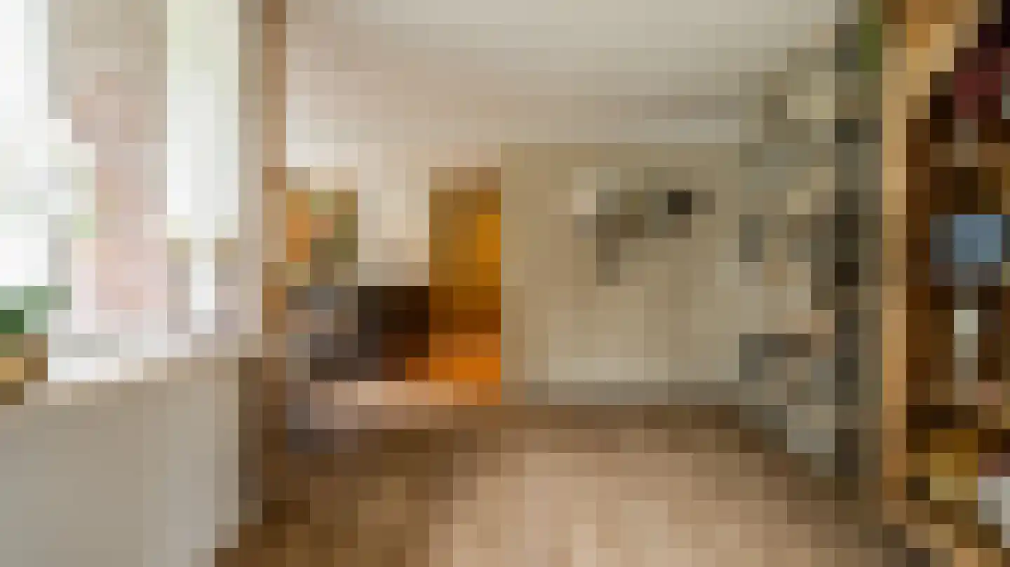 De Jager 25 Almelo thumbnail 20