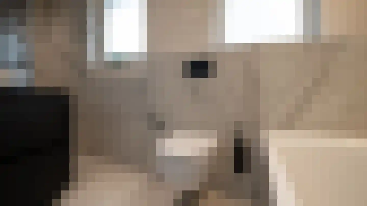 De Jager 25 Almelo thumbnail 31