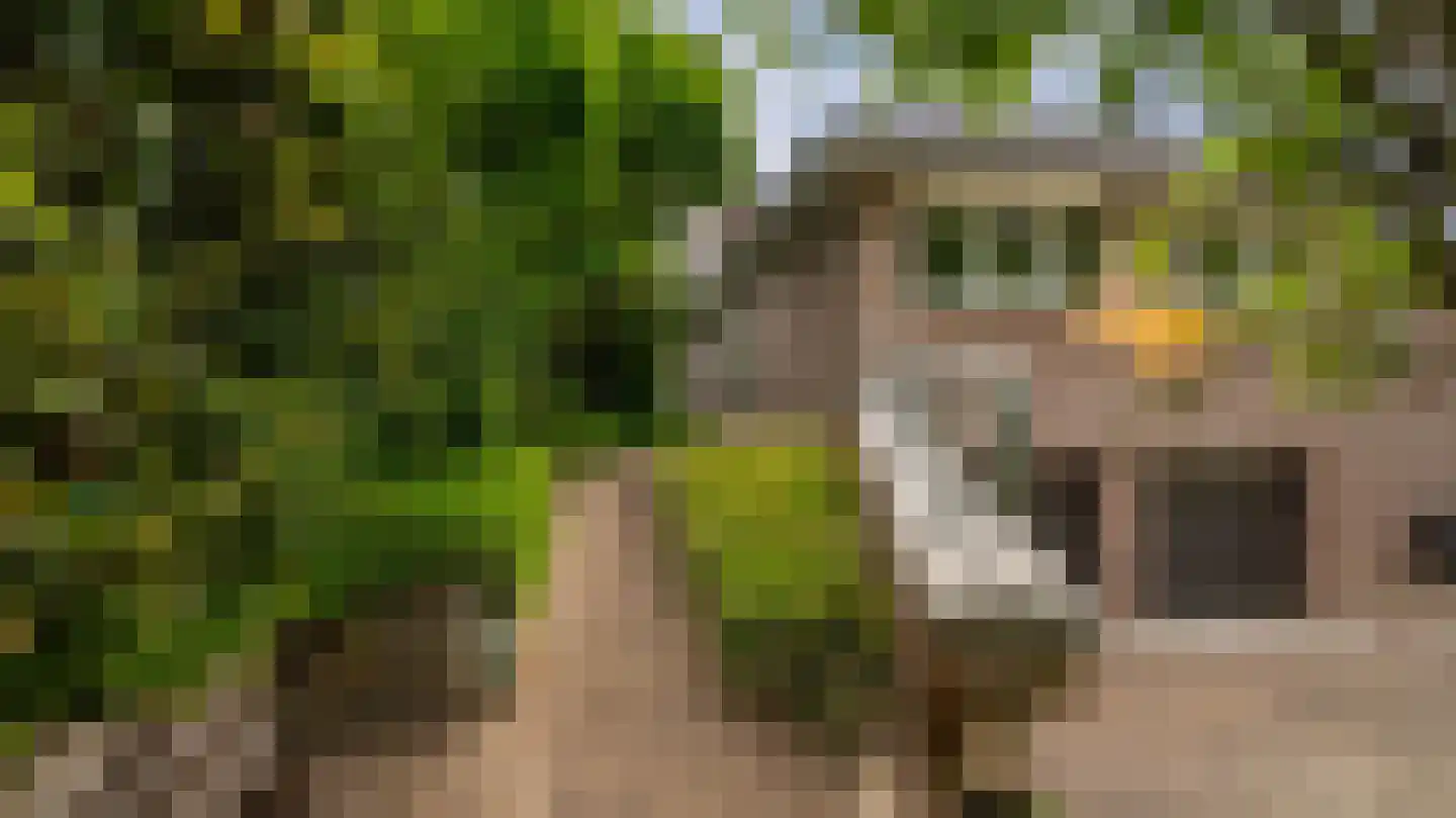 De Jager 25 Almelo thumbnail 6