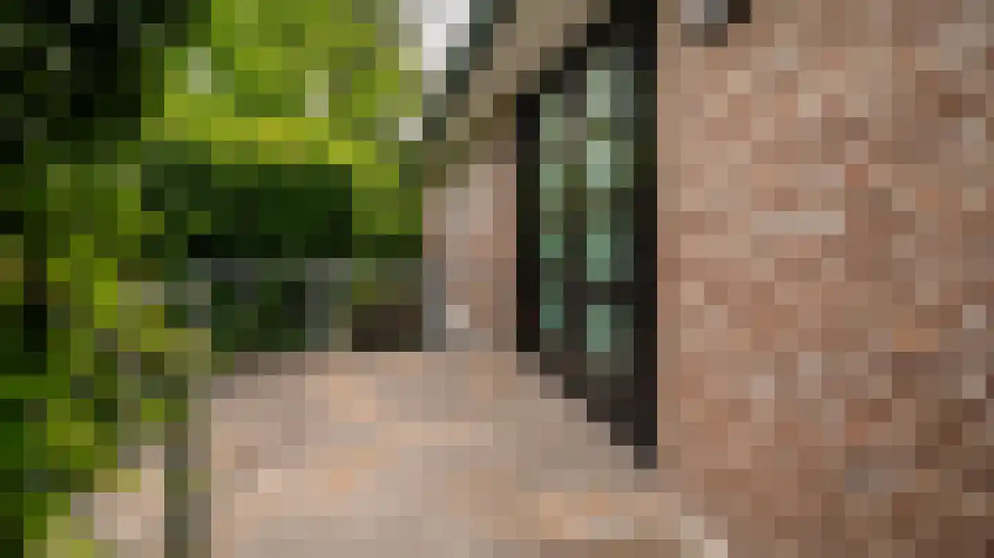 De Jager 25 Almelo thumbnail 7