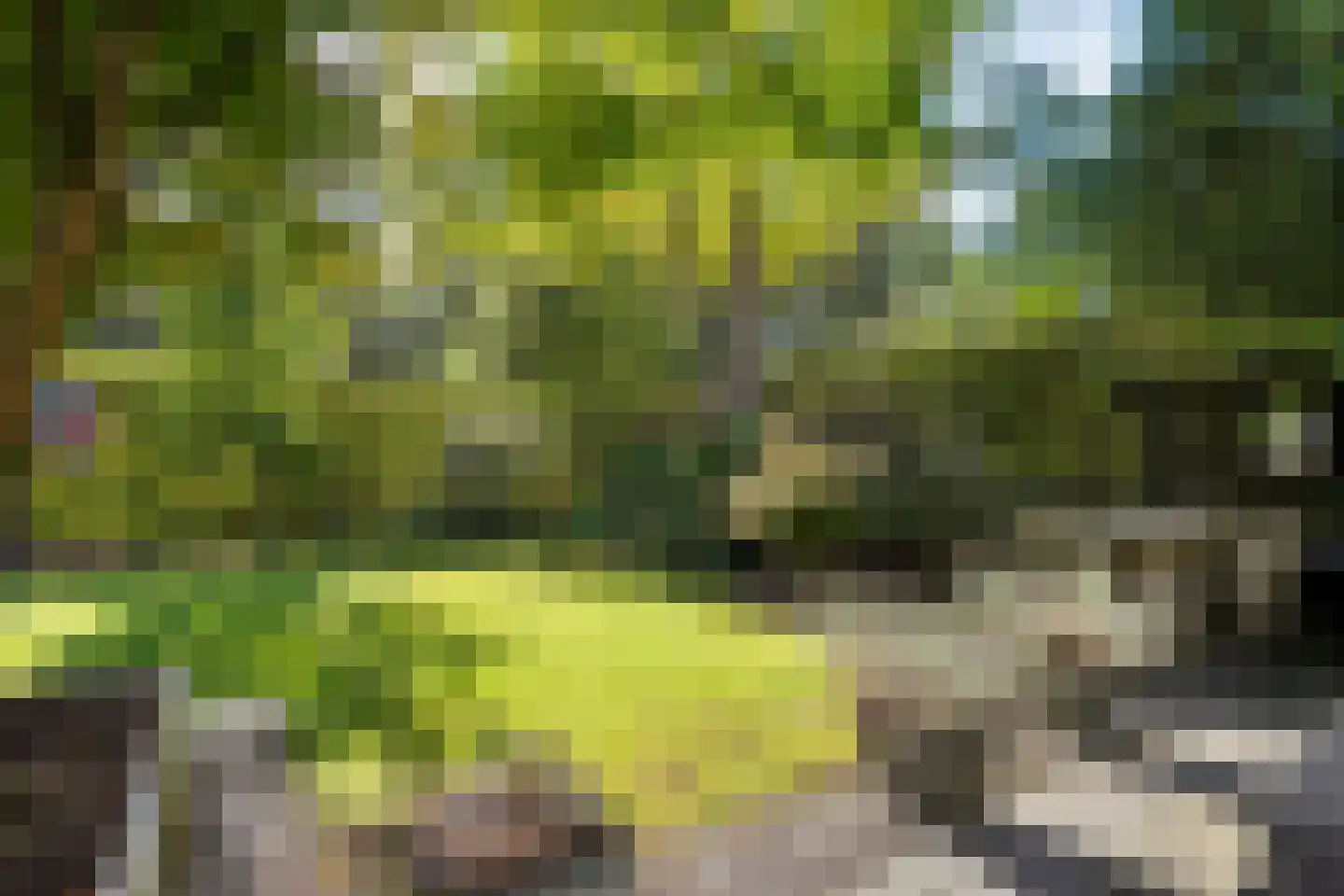 De Jager 4 Almelo thumbnail 30