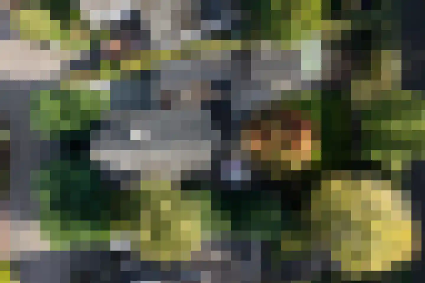 De Jager 4 Almelo thumbnail 33