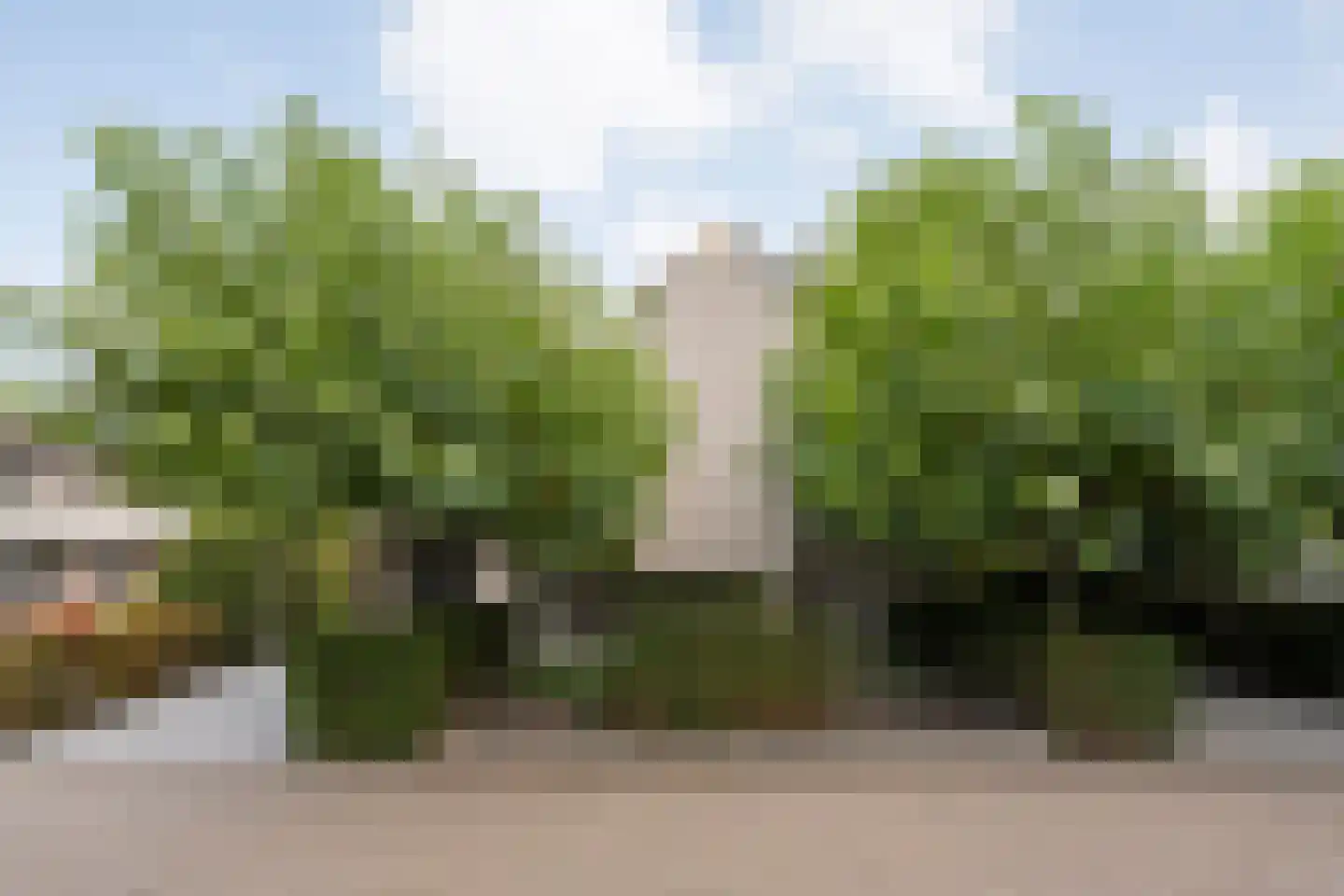 De Jager 4 Almelo thumbnail 5