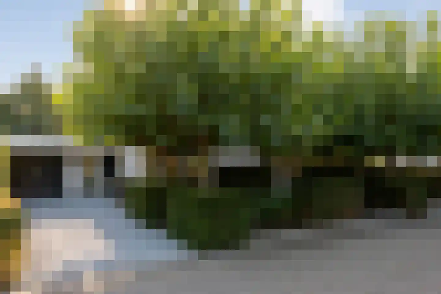 De Jager 4 Almelo thumbnail 6