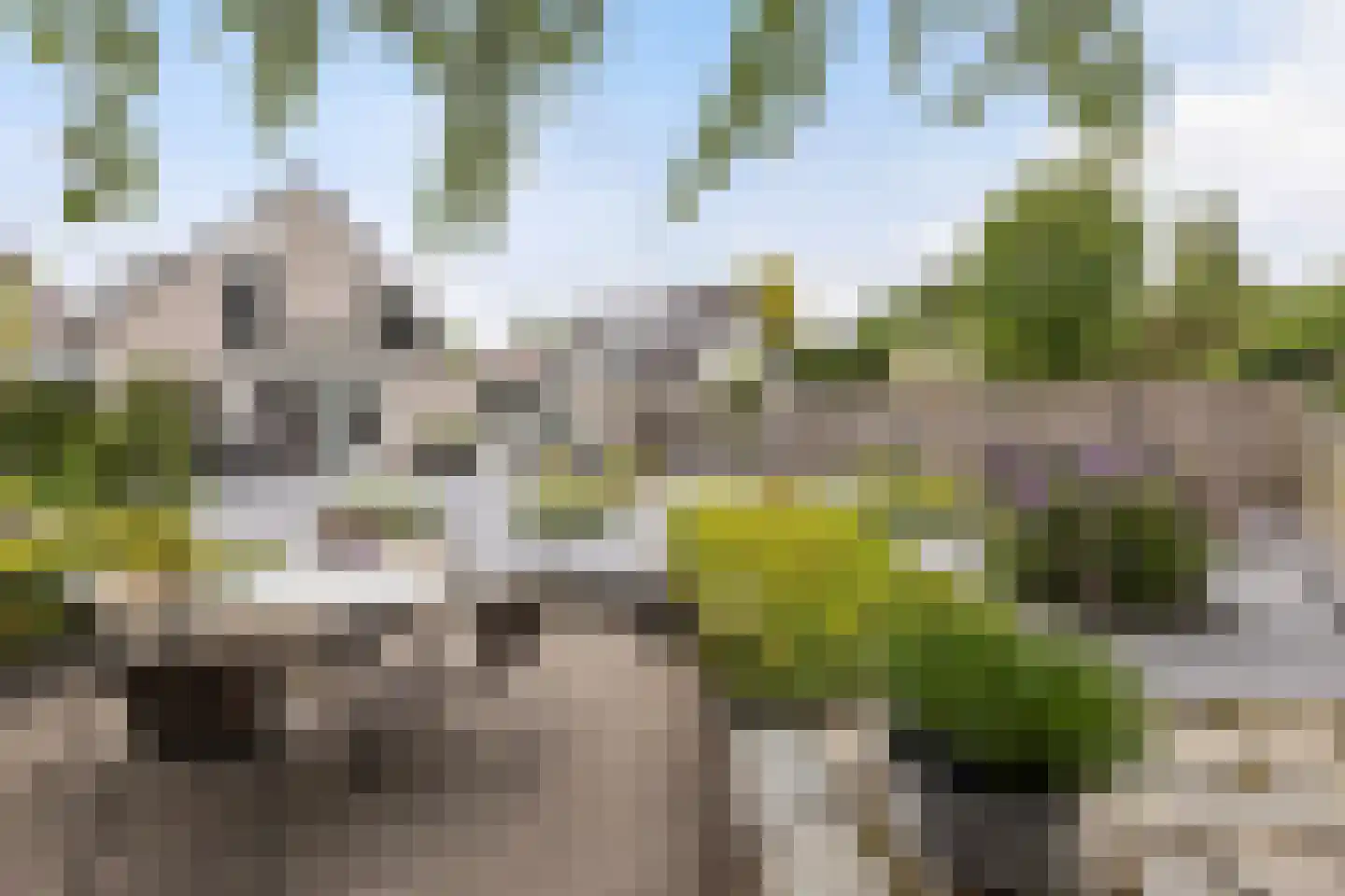 De Jager 8 Almelo thumbnail 25