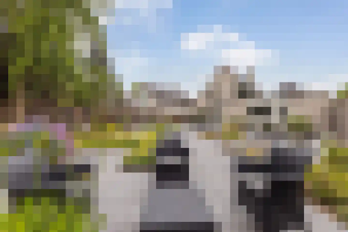 De Jager 8 Almelo thumbnail 27