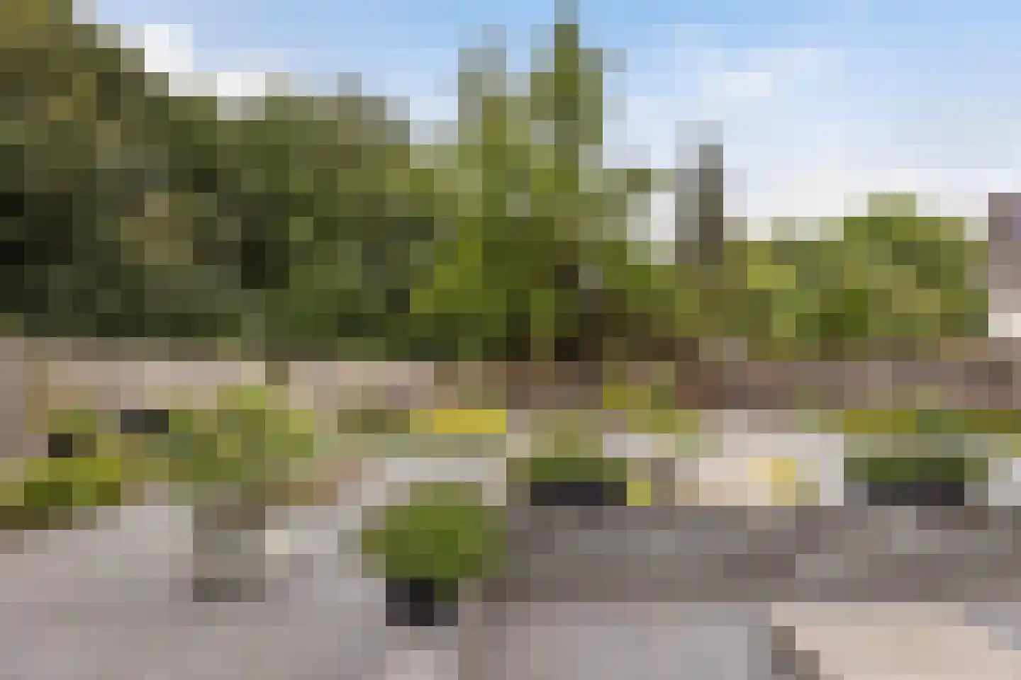 De Jager 8 Almelo thumbnail 28