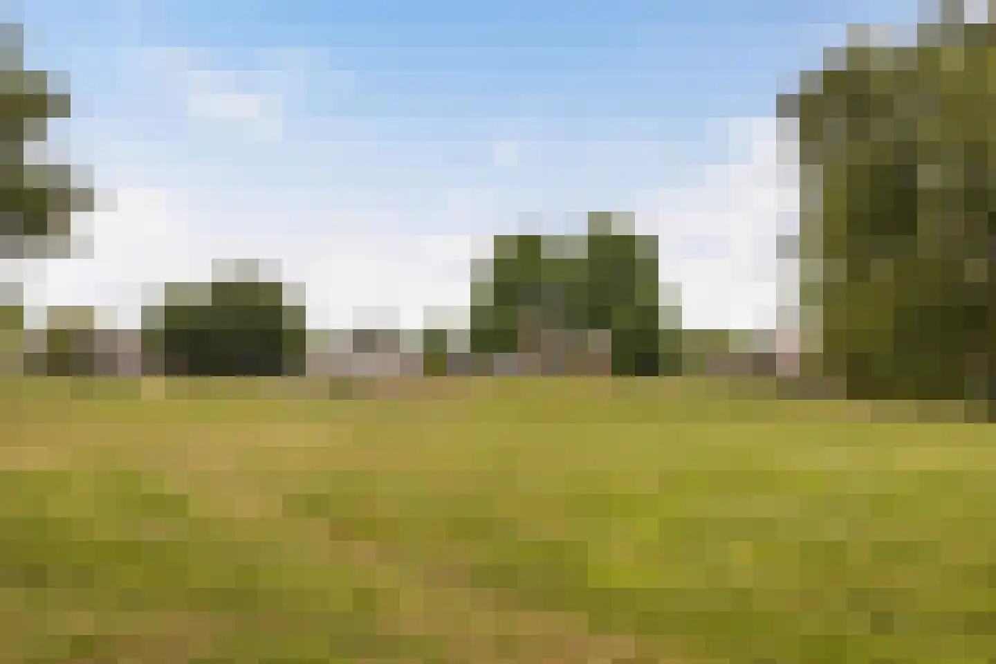 De Jager 8 Almelo thumbnail 29