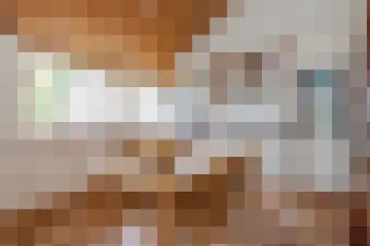 De Jagersherne 8 IJlst thumbnail 10