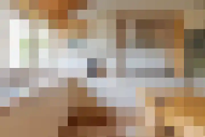 De Jagersherne 8 IJlst thumbnail 12
