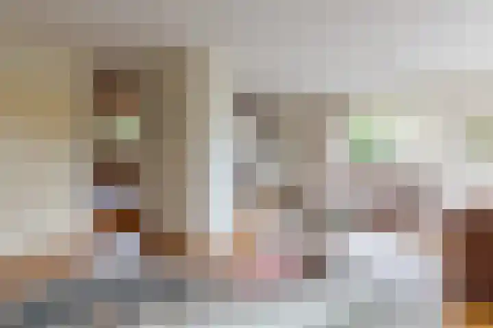 De Jagersherne 8 IJlst thumbnail 16