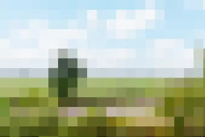 De Jagersherne 8 IJlst thumbnail 28