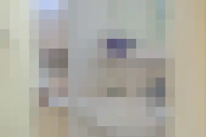 De Jagersherne 8 IJlst thumbnail 30