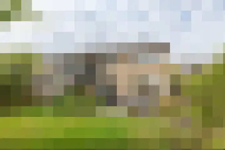 De Jagersherne 8 IJlst thumbnail 35