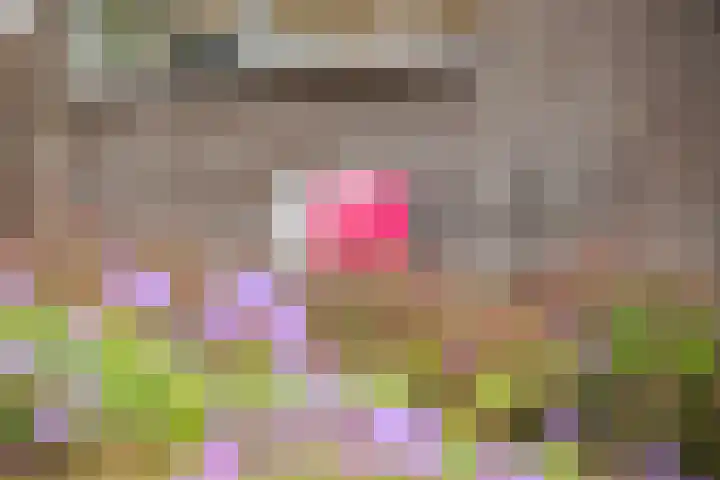 De Jagersherne 8 IJlst thumbnail 39