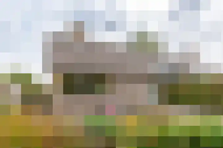 De Jagersherne 8 IJlst thumbnail 4