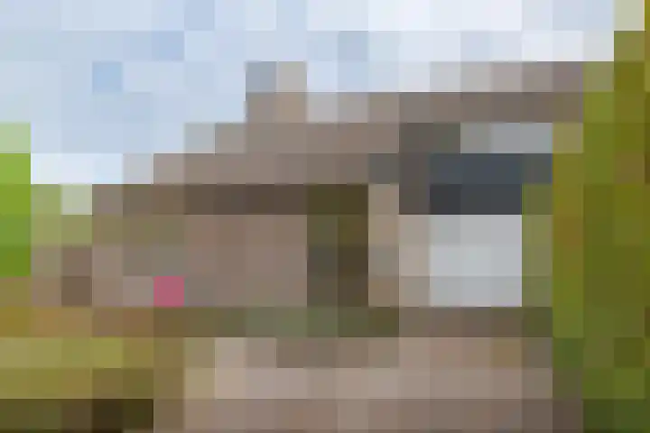 De Jagersherne 8 IJlst thumbnail 42