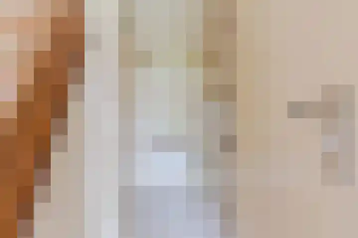 De Jagersherne 8 IJlst thumbnail 7
