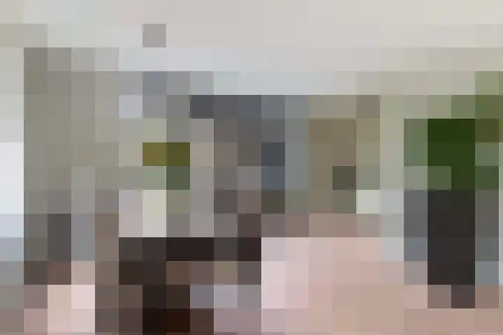 De Jagershuizen 101 Apeldoorn thumbnail 13