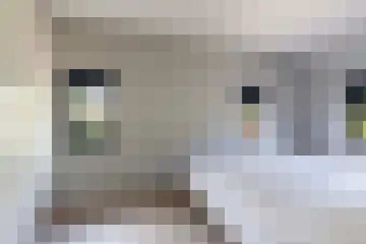 De Jagershuizen 101 Apeldoorn thumbnail 22