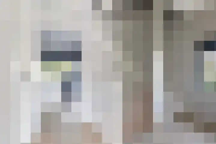 De Jagershuizen 101 Apeldoorn thumbnail 27