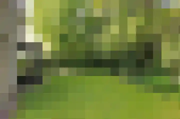 De Jagershuizen 101 Apeldoorn thumbnail 34