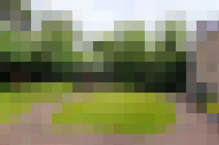 De Jagershuizen 101 Apeldoorn thumbnail 36
