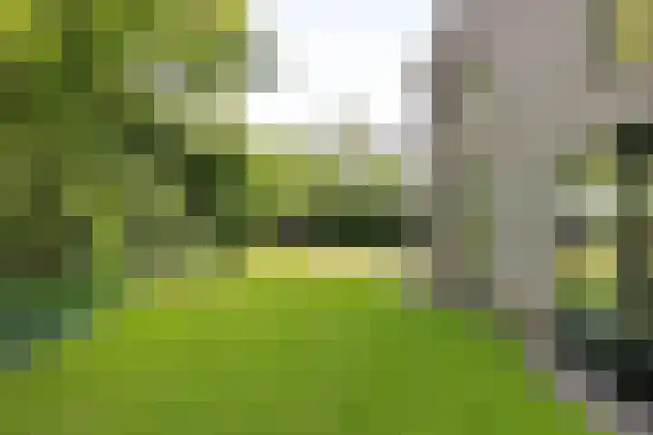De Jagershuizen 101 Apeldoorn thumbnail 37