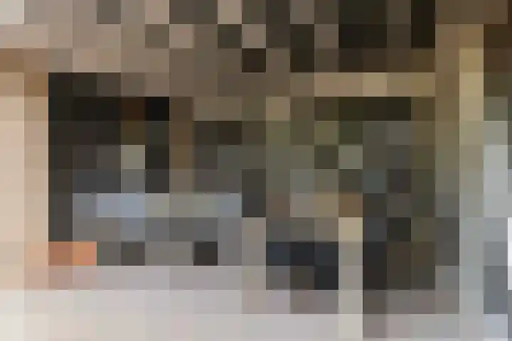 De Jagershuizen 101 Apeldoorn thumbnail 38