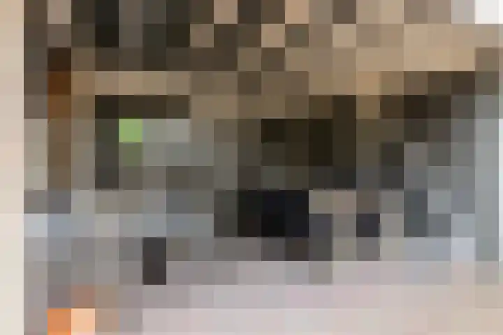 De Jagershuizen 101 Apeldoorn thumbnail 39