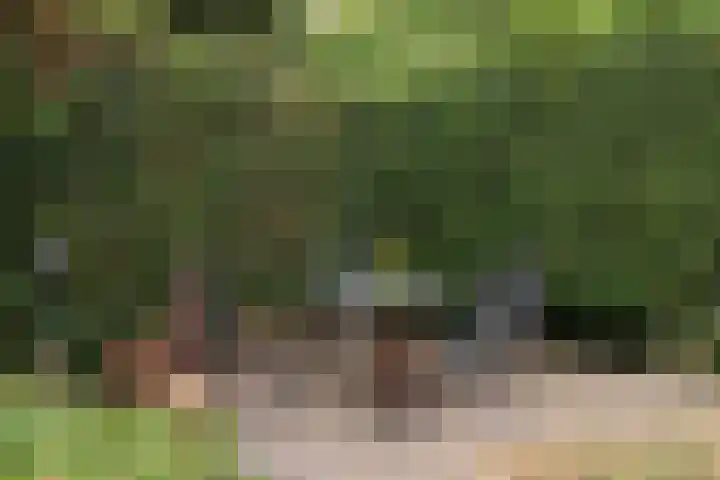 De Jagershuizen 101 Apeldoorn thumbnail 43