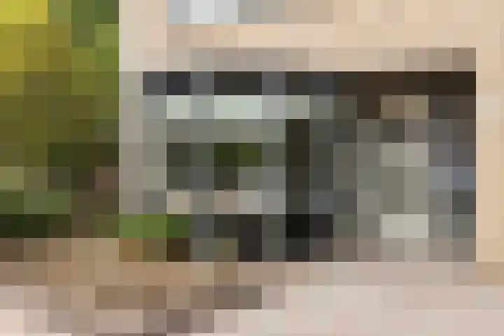 De Jagershuizen 101 Apeldoorn thumbnail 44