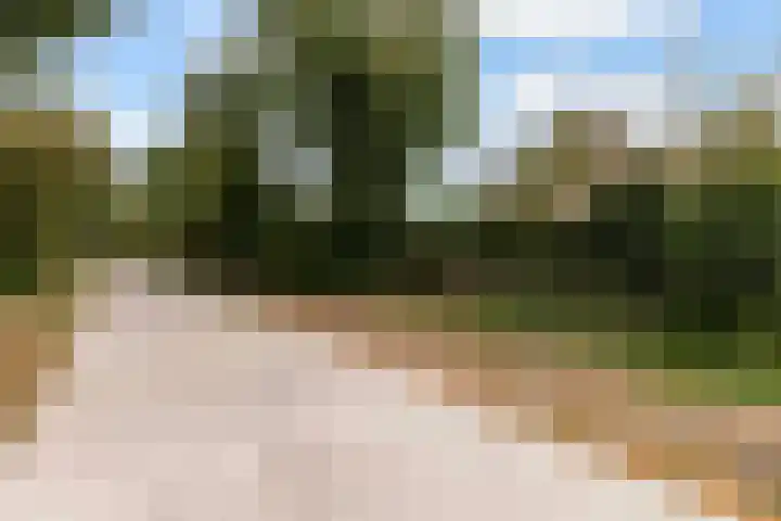 De Jagershuizen 101 Apeldoorn thumbnail 45