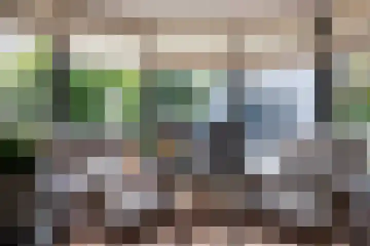 De Jagershuizen 101 Apeldoorn thumbnail 9