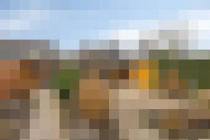 De Jagershuizen 102 Apeldoorn thumbnail 34