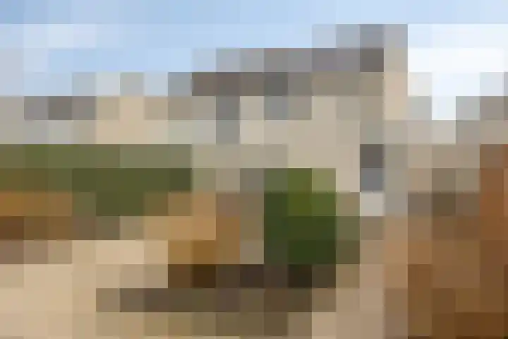 De Jagershuizen 102 Apeldoorn thumbnail 40