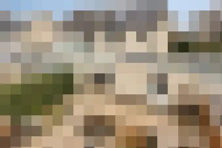 De Jagershuizen 102 Apeldoorn thumbnail 41