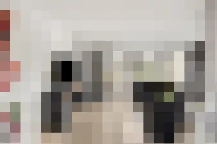De Jagershuizen 102 Apeldoorn thumbnail 6