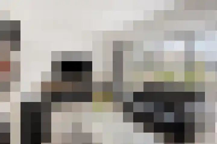 De Jagershuizen 102 Apeldoorn thumbnail 7