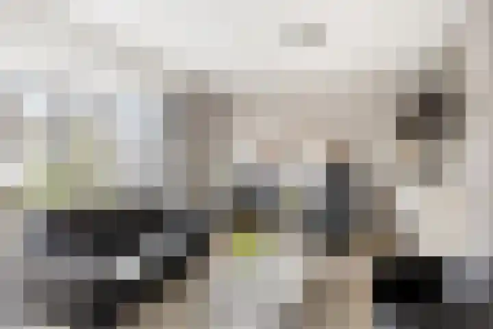 De Jagershuizen 102 Apeldoorn thumbnail 8