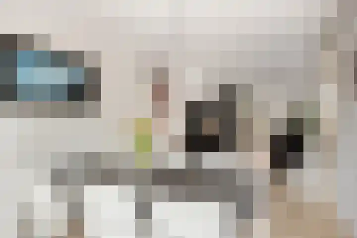 De Jagershuizen 102 Apeldoorn thumbnail 9