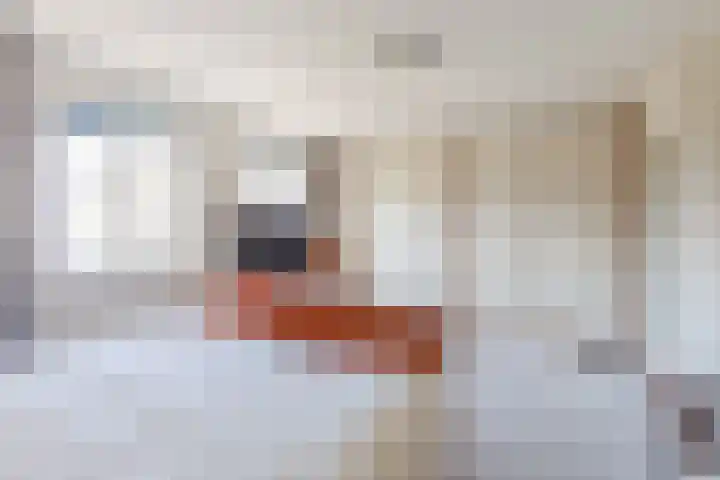 De Jagershuizen 34 Apeldoorn thumbnail 18