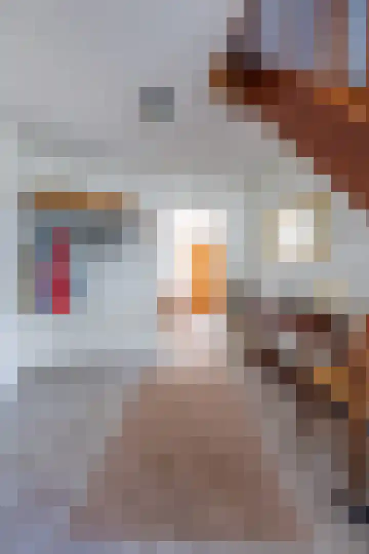 De Jagershuizen 34 Apeldoorn thumbnail 7