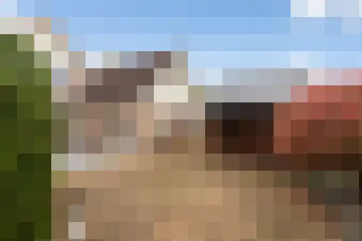 De Jagershuizen 54 Apeldoorn thumbnail 31