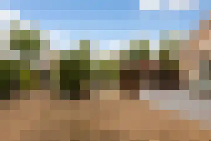 De Jagershuizen 54 Apeldoorn thumbnail 32