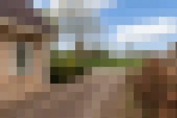 De Jagershuizen 54 Apeldoorn thumbnail 33