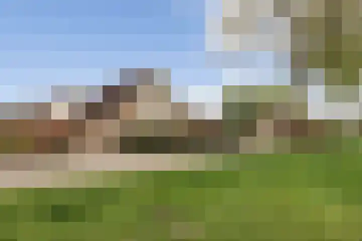 De Jagershuizen 54 Apeldoorn thumbnail 34